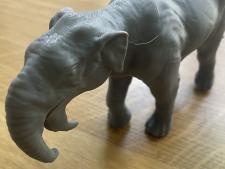 3-D Modell des Dinotherium giganteum