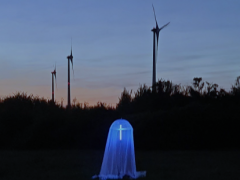 Nachtfaltererhebung 2023