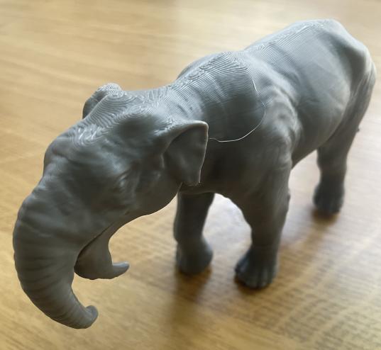 3-D Modell des Dinotherium giganteum