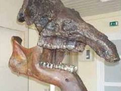 Leaderantrag &quot;Museumserweiterung mit barrierefreiem Zugang&quot; genehmigt