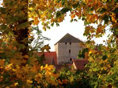 Herstellung eines Boule-Platzes in Eppelsheim