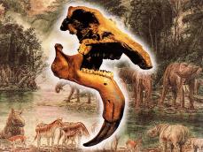 Herzliche Einladung zum Tag der Biodiversität in Eppelsheim am 14.10.2023