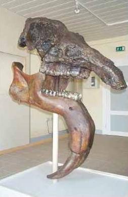 Eppelsheim anno 1975