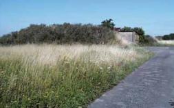 Geschützter Landschaftsbestandteil "Huckenhofer Weg"