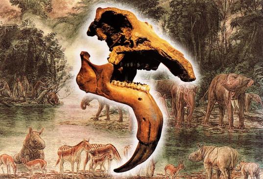 Wandbild: Dinotherium Giganteum